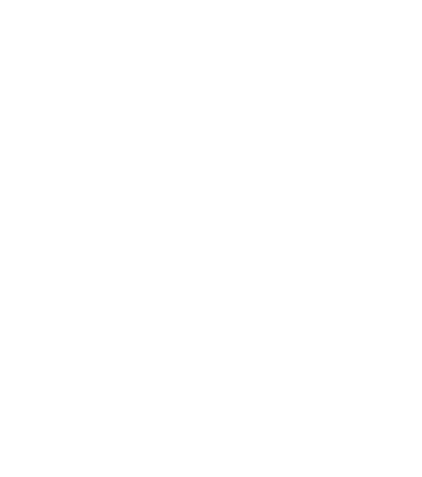 Ridisa